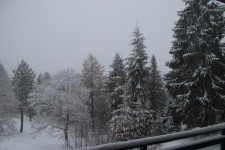 IMG_5352.JPG