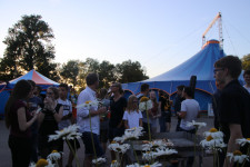 IMG_8897.JPG